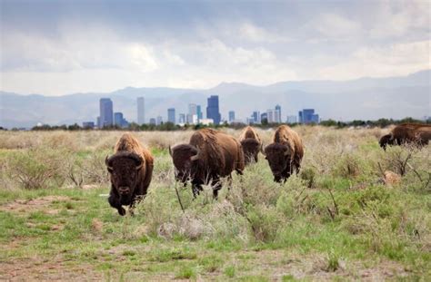10 Things to Know About Colorado