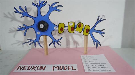 Image result for Neuron Project with Thread