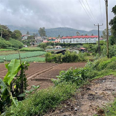 GALWAY HEIGHTS HOTEL (Nuwara Eliya) - Hotel Reviews, Photos, Rate ...