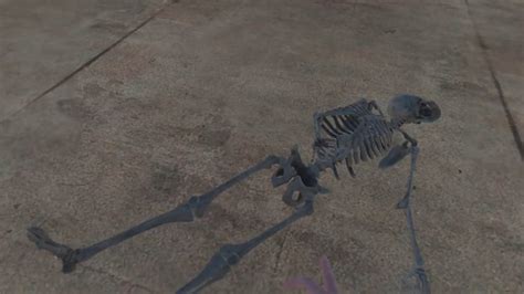 Image result for BoneLab Map