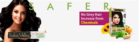 INDUS VALLEY Herbal, Natural Damage Free Gel Colour For Hair Black- 1.0 ...