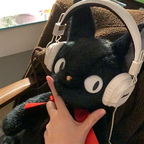 cat aesthetic pfp | Cute icons, Cute, Cute stuffed animals