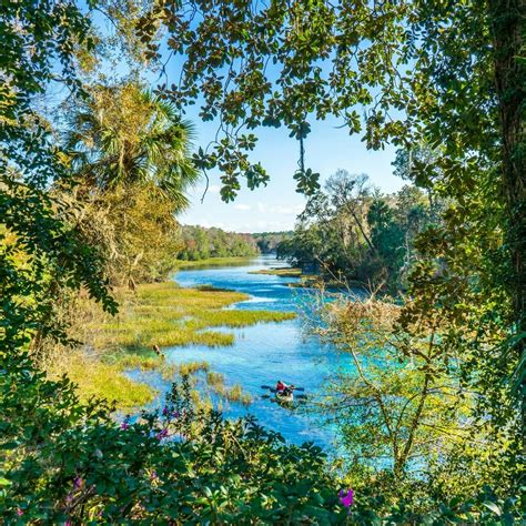 Guide to Silver Springs State Park | Ocala / Marion County Florida