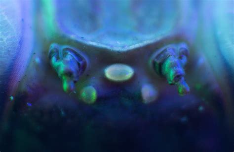 Image result for Alien Sleeping