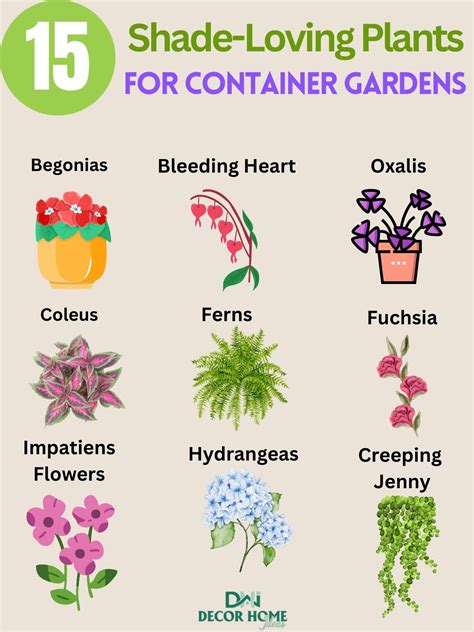 15 Fantastic Shade-Loving Plants For Container Gardens in 2025 ...