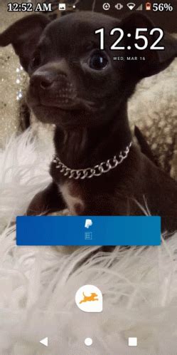 Image result for Computer Mouse GIF