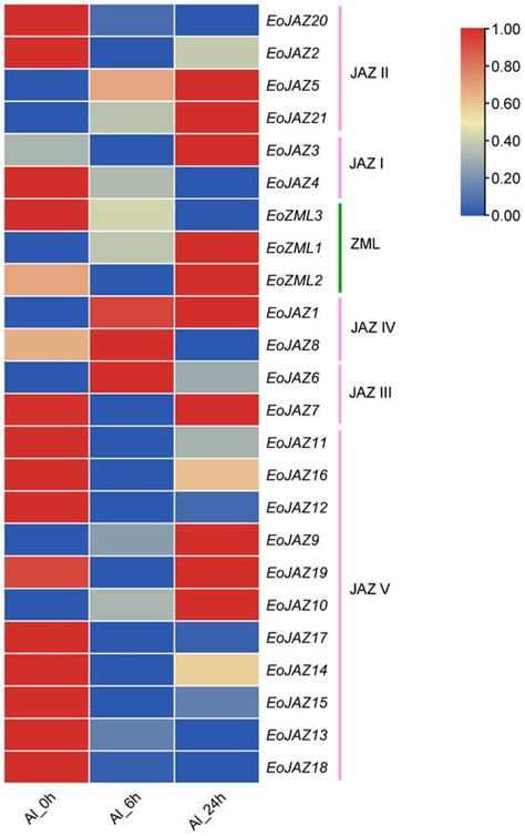 Genome-Wide Identification and Characterization of the TIFY Gene Family ...