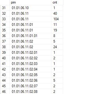 Image result for Suite QL JSON Output
