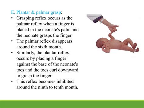 Lecture 5. Neonatal reflexes | PPTX