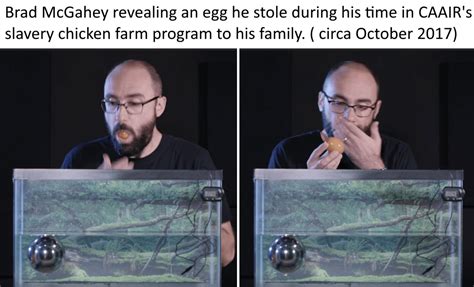 HowToBasic Face Memes 的图像结果