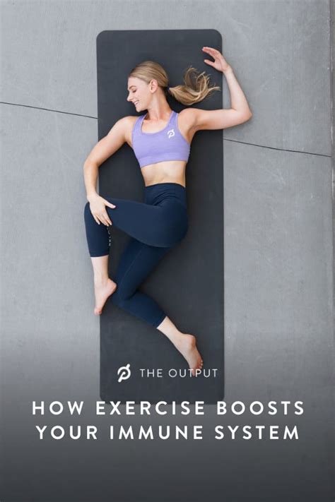 Image result for Immunity Exercise