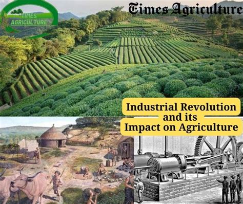 Industrial Revolution Agriculture 的图像结果