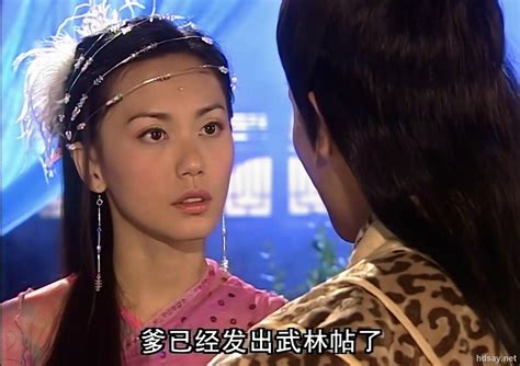 倚天屠龙记（2003年大陆版苏有朋主演电视剧） - 搜狗百科