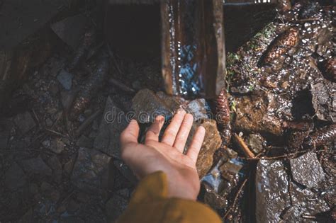Image result for Spring Trap Hand Reaching Out