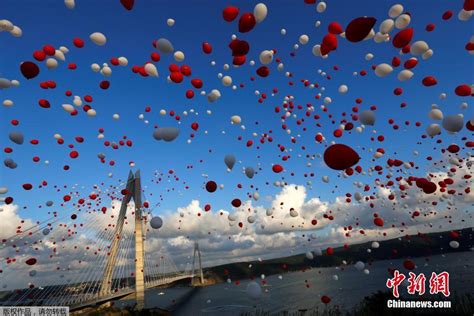 土耳其第三座跨海大桥开通 连接欧亚大陆（组图）-新华网