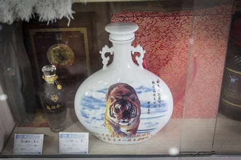 China’s wealthy are rediscovering a taste for tiger bone wine ...