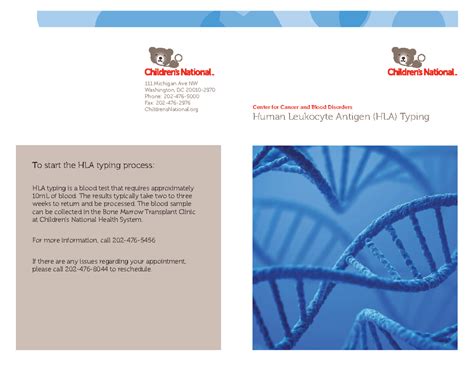 Human Leukocyte Antigen HLA Typing for Center for Cancers and Blood ...