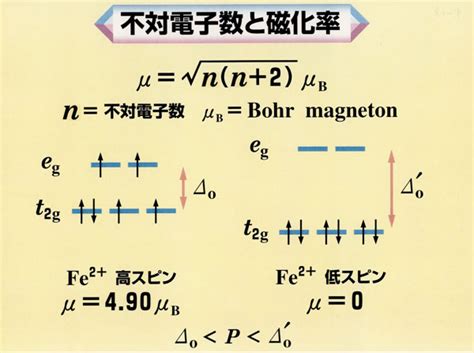 Image result for Make a Function in Python