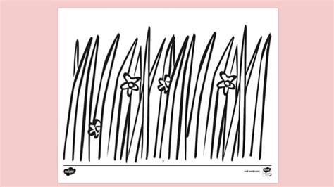Grass Template Colouring Sheet | Colouring Sheets - Twinkl