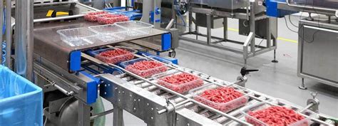 Vacuum Packaging of Fresh Meat | Busch India