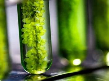 Home [web.iitd.ac.in]