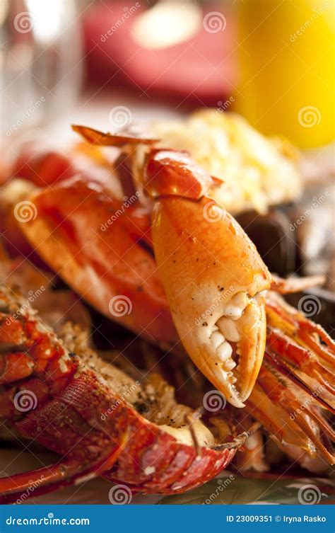 Dish with Cooked Crabs and Lobsters Stock Image - Image of estate ...
