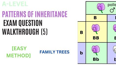 Image result for Inheritance Questions