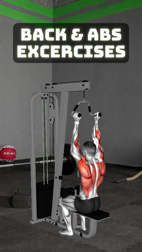 Image result for Gym Direct Exercises