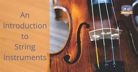 Image result for String Instruments Demo
