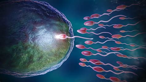 What is IVF process in hindi - Sunrise IVF