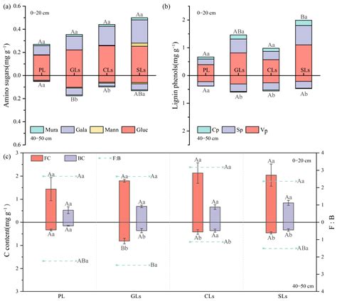 Vegetation Types Can Affect Soil Organic Carbon and δ13C by Influencing ...