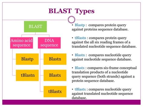 Blast Biotechnology Example 的图像结果