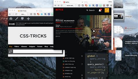 Image result for Mac OS X Window