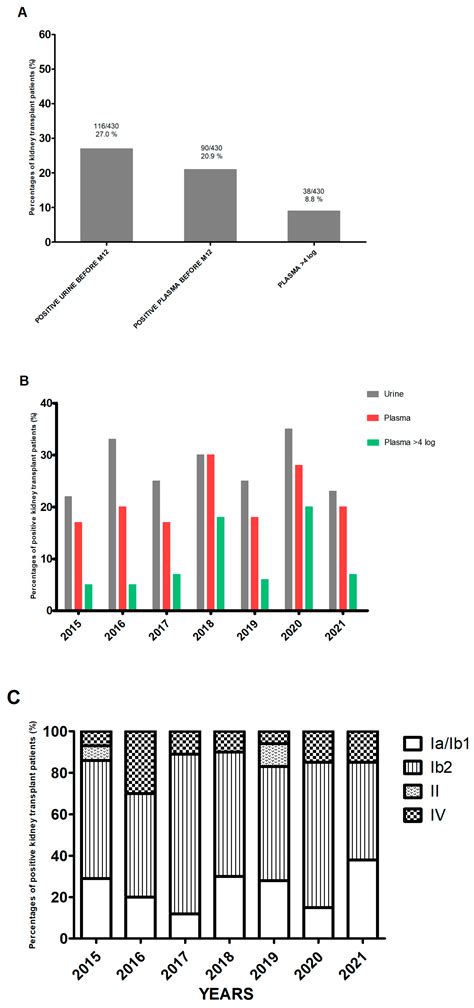 Epidemiology and Dynamics of BK Polyomavirus Replication after Kidney ...