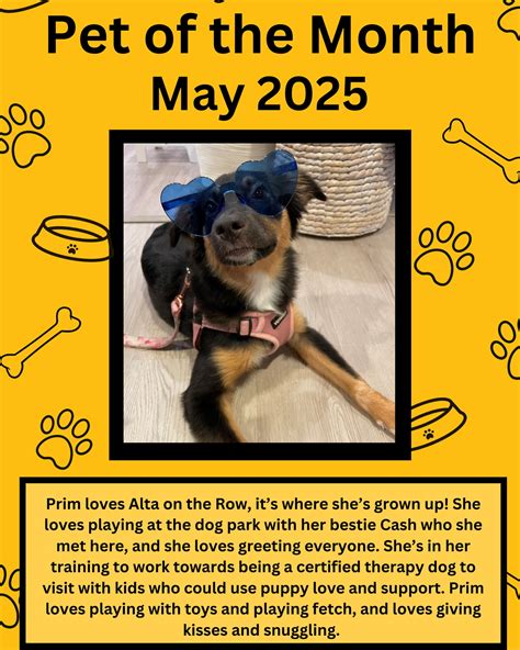 Alta on the Row | Worcester Luxury Living (@altaontherow) • Instagram ...