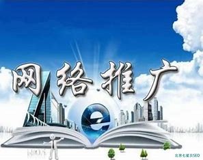北京高端网络推广公司 的图像结果