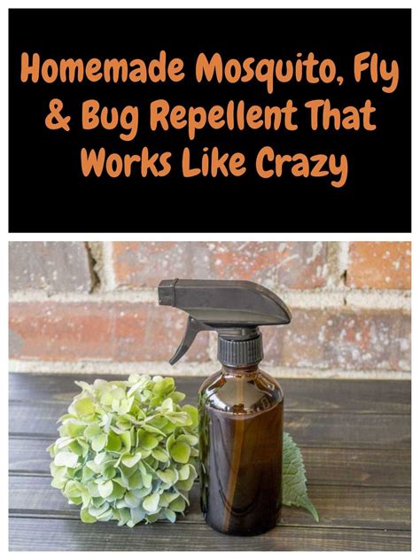 Homemade Mosquito, Fly & Bug Repellent That Works Like Crazy | Mosquito ...