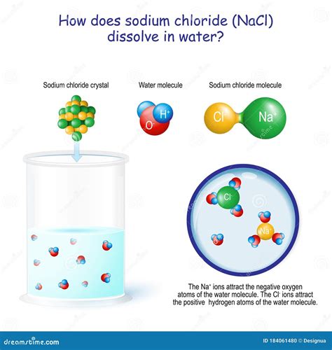 How Does Sodium Chloride NaCl Dissolve in Water Stock Vector ...