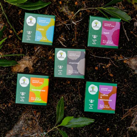 Soap Combo - The Veil – Last Forest