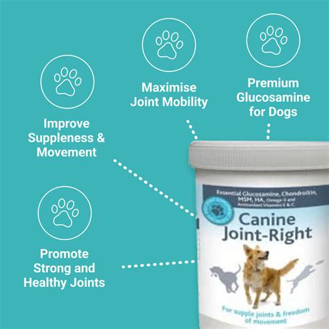 Does Glucosamine Help Arthritis In Dogs
