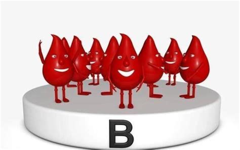 B型血性格 - B型血和A/B/O/AB型血孩子血型 - 星爪时尚网