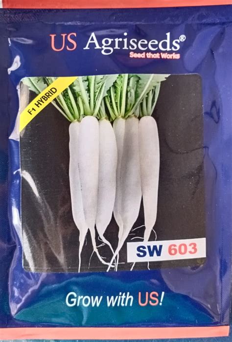 US Agriseeds F1 Hybrid Radish Seeds, SW 603 Variety, 50 Grams, Ready in ...
