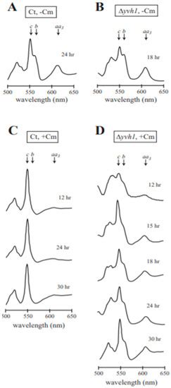 Microorganisms | Special Issue : The Filamentous Fungus Neurospora crassa