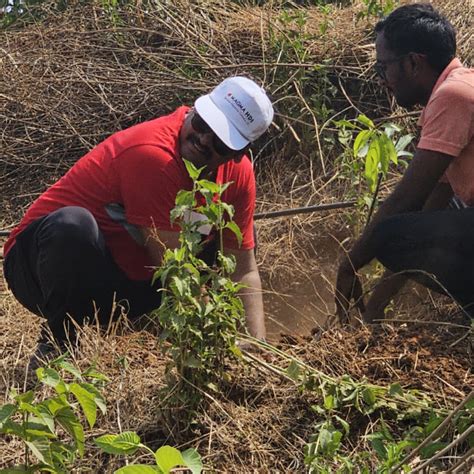 A Greener Future: Magma HDI’s Agroforestry Tree Plantation for Employee ...