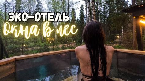 Отдых наедине с природой. Эко-отель "Окна в лес" - YouTube