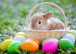 Image result for Easter Bunny List