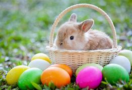 Image result for Free Coloring Page Girly Easter Bunny