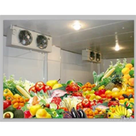 Cold Storage Rooms - 5 Ton Display Cold Storage Rooms Manufacturer from ...