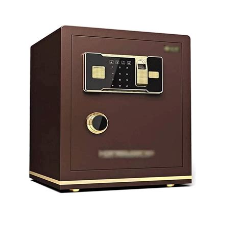 Buy swqiy GYDSSH Fingerprint Safe Home Office Wall-ed Pas Safe Anti ...