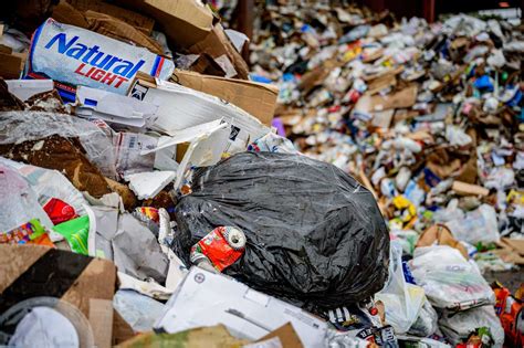 Completion of Biomining project's second phase expected by July